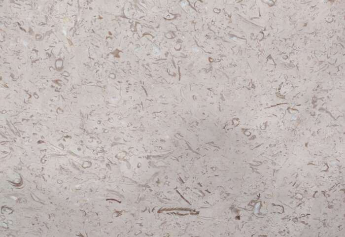 Creama feather - Image 2